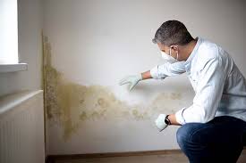 Best Industrial Mold Remediation  in Mount Pleasant, UT